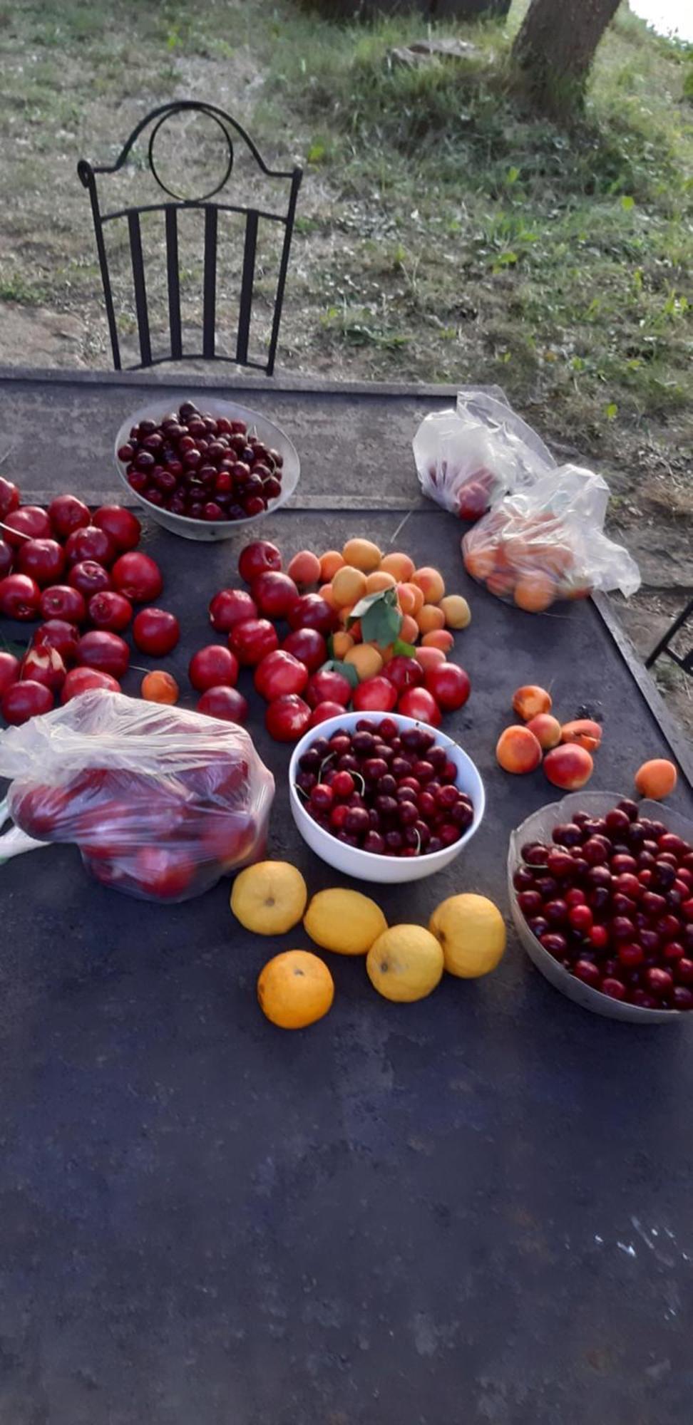 Les Lilas Des Chenes Piolenc المظهر الخارجي الصورة